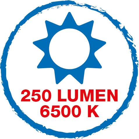LED LUZ DE TRABAJO